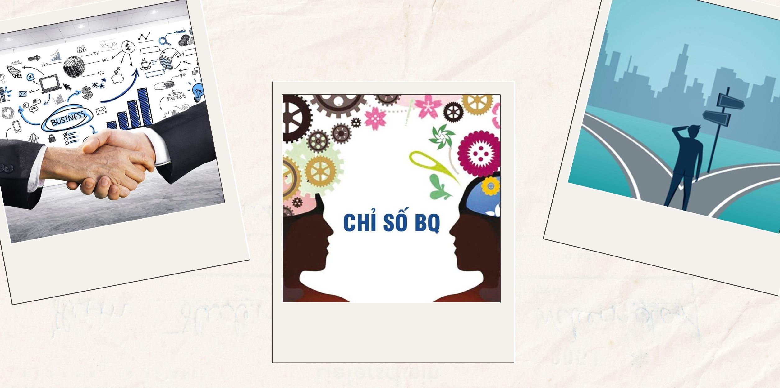 BQ – Trí Thông Minh Kinh Doanh