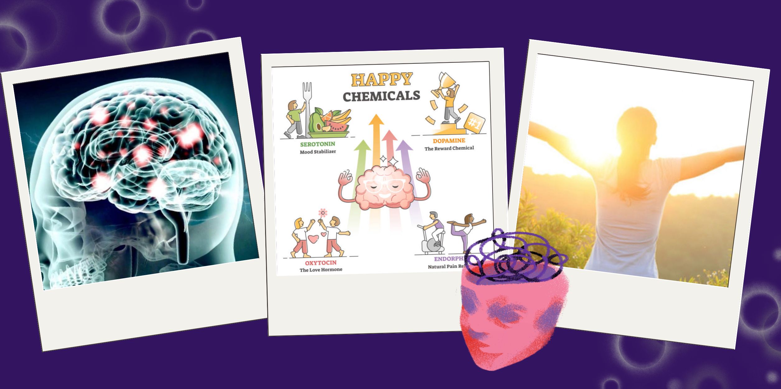 Cân Bằng Dopamine Để Sống Chậm Và Sâu Hơn