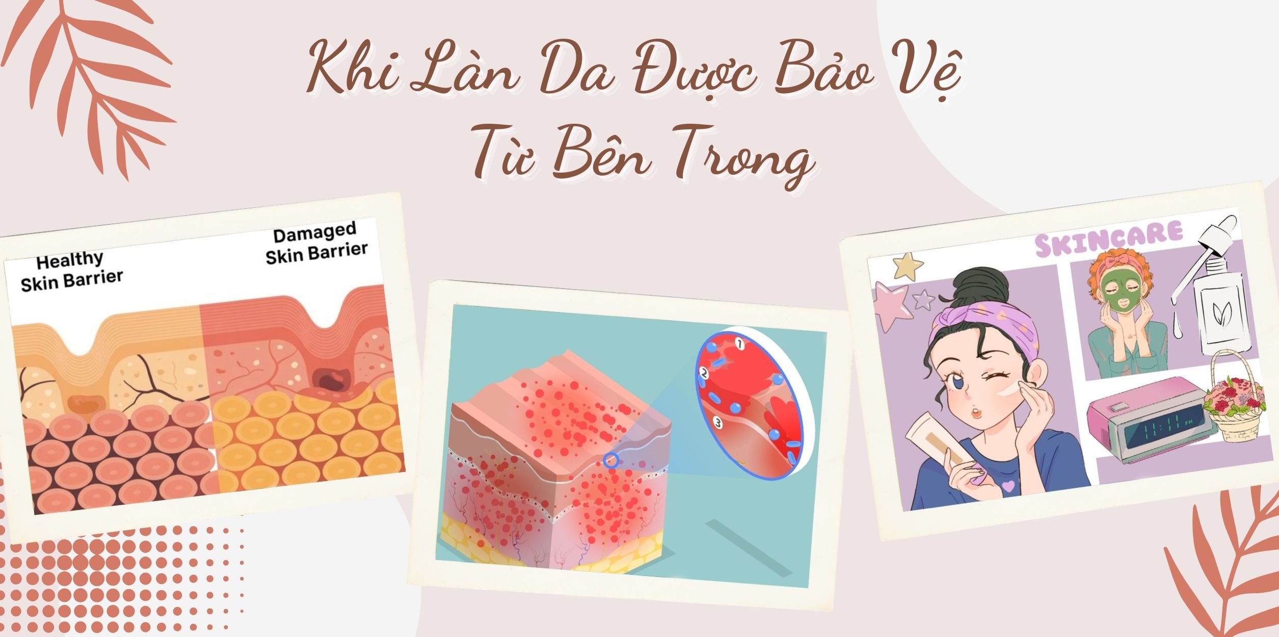 Khi Làn Da Được Bảo Vệ Từ Bên Trong