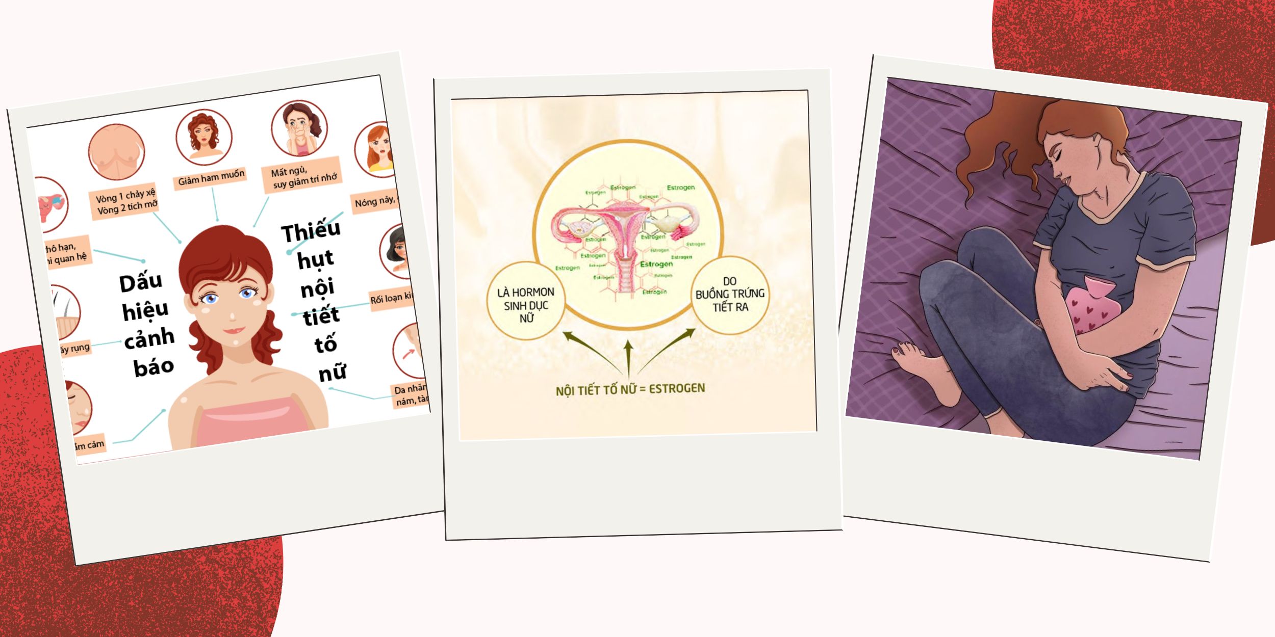 Nội Tiết Tố Nữ Là Gì?