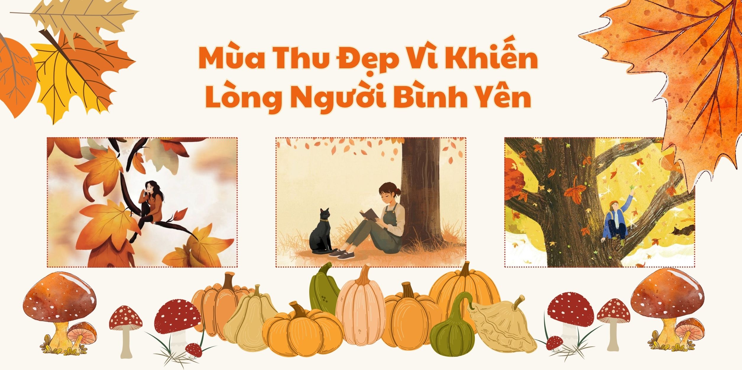 Mùa Thu Đẹp Vì Khiến Lòng Người Bình Yên
