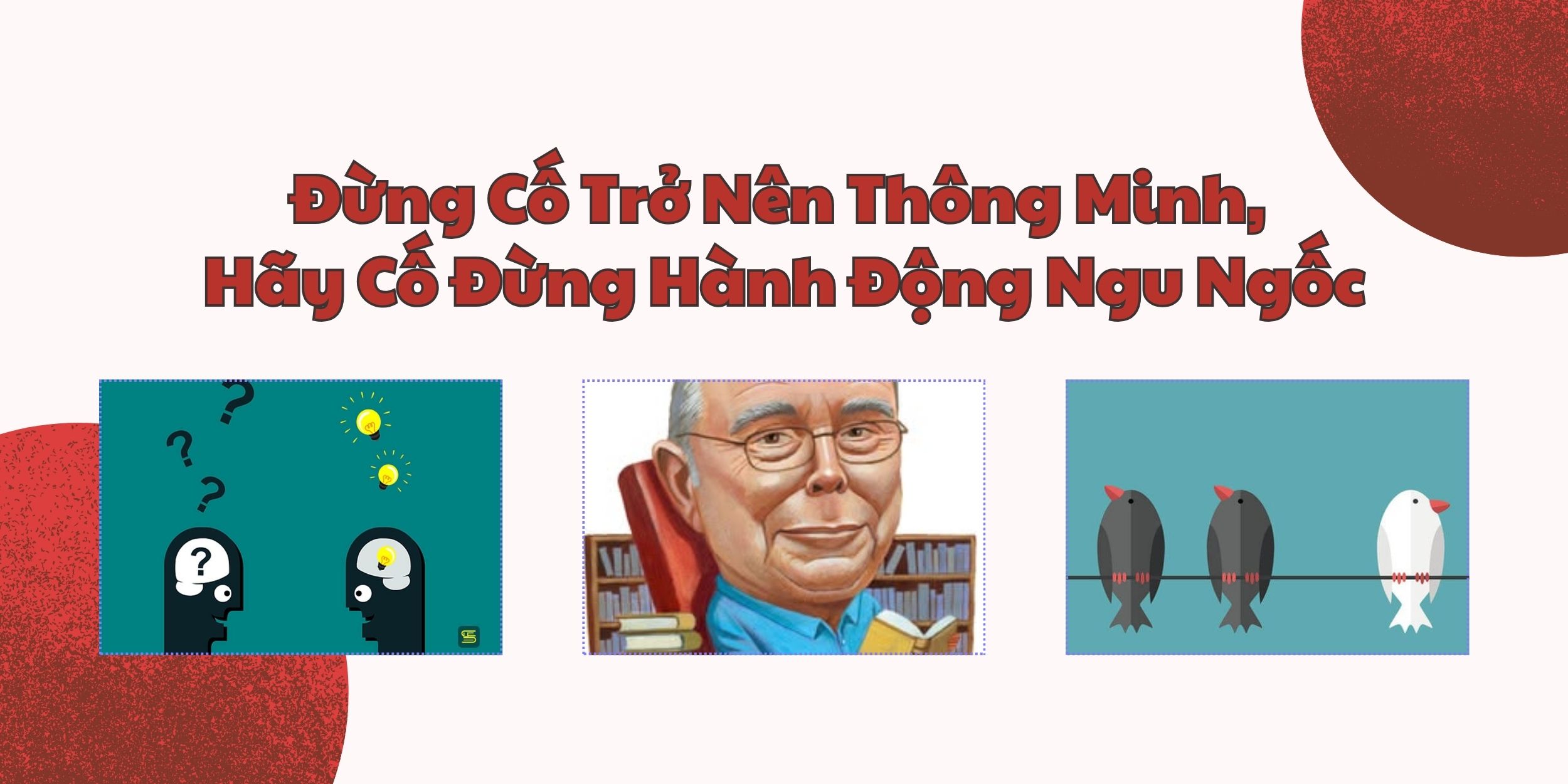 Đừng Cố Trở Nên Thông Minh, Hãy Cố Đừng Hành Động Ngu Ngốc