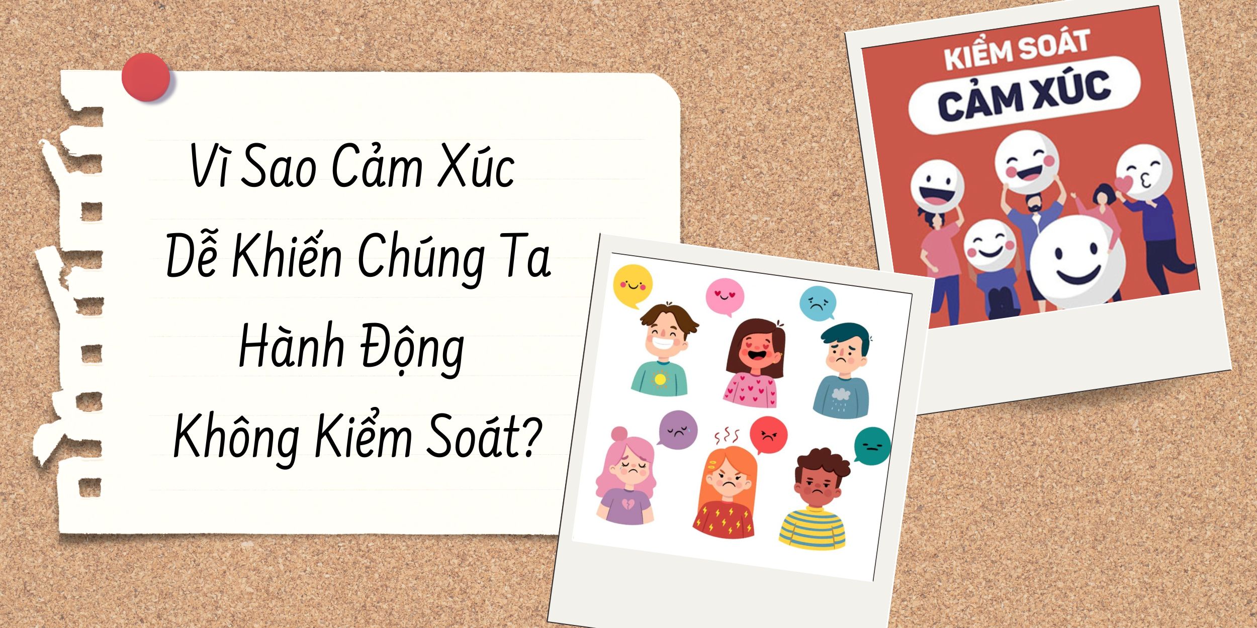Vì Sao Cảm Xúc Dễ Khiến Chúng Ta Hành Động Không Kiểm Soát?