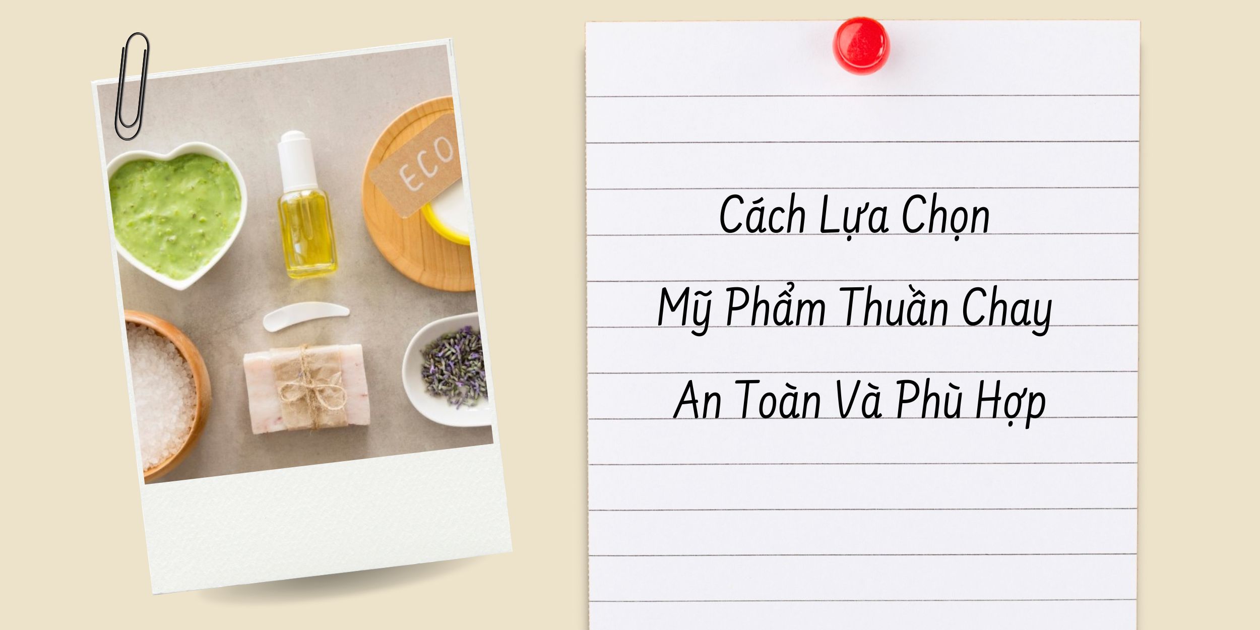 Cách Lựa Chọn Mỹ Phẩm Thuần Chay An Toàn Và Phù Hợp