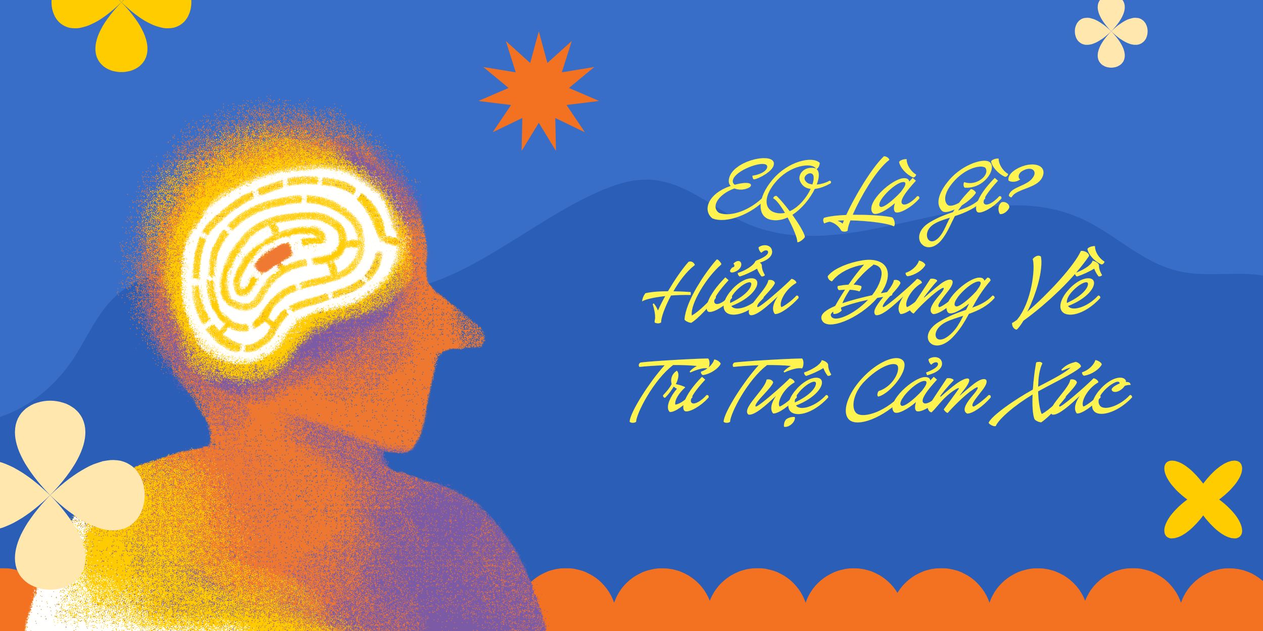 EQ Là Gì? Hiểu Đúng Về Trí Tuệ Cảm Xúc